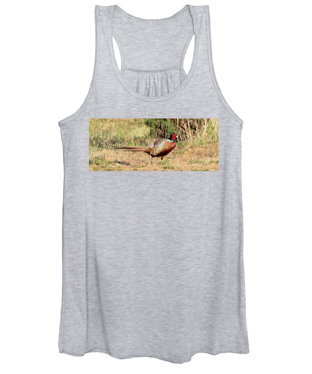 Bird Women's Tank Top featuring the photograph Ring-necked Pheasant #21 by Dennis Hammer