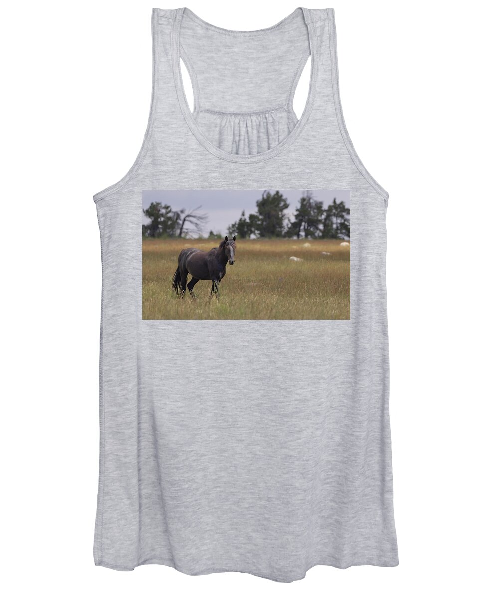 Horse Women's Tank Top featuring the photograph Stallion #6 by Laura Terriere