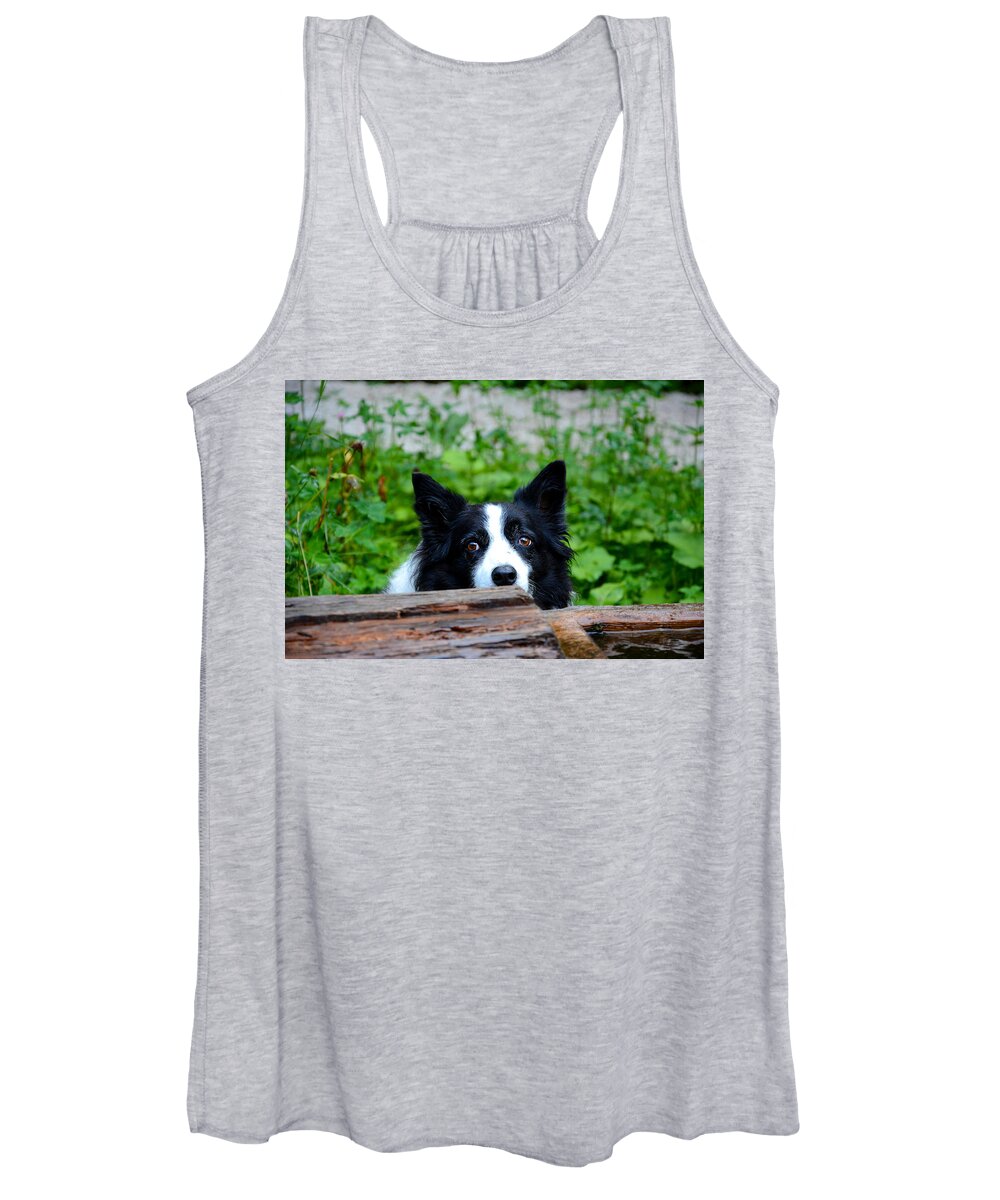 Dog Women's Tank Top featuring the photograph A border collie is waiting for a task. by Bernhard Schaffer