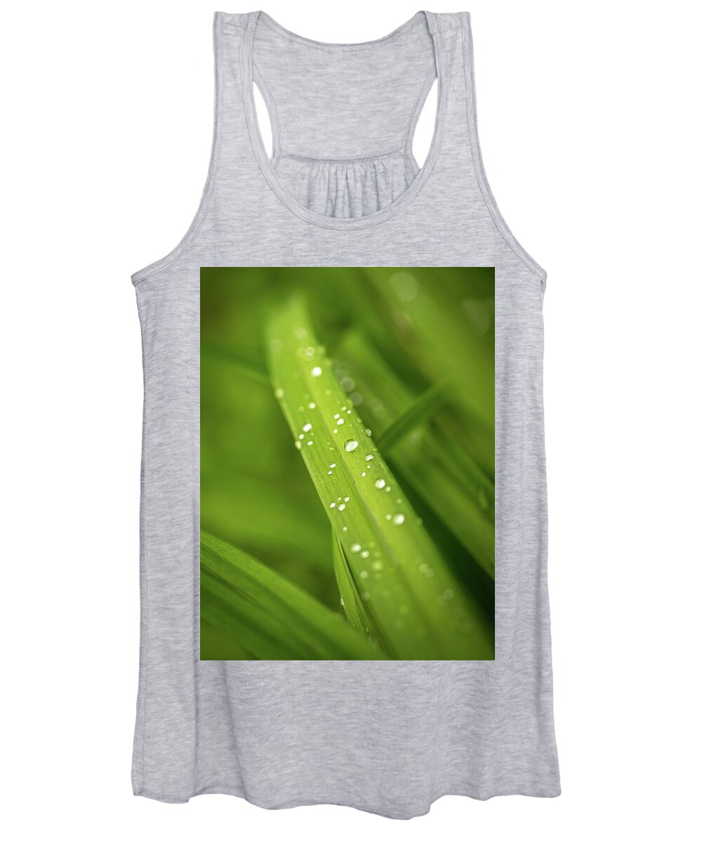 Mombretia Women's Tank Top featuring the photograph After the rain by Average Images