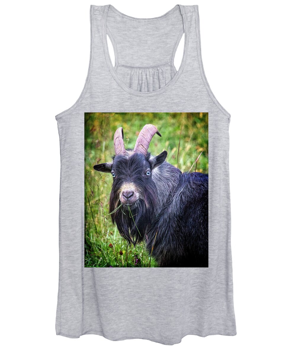 Billy Goat Women's Tank Top featuring the photograph Billy Goat Gruff by Jaki Miller