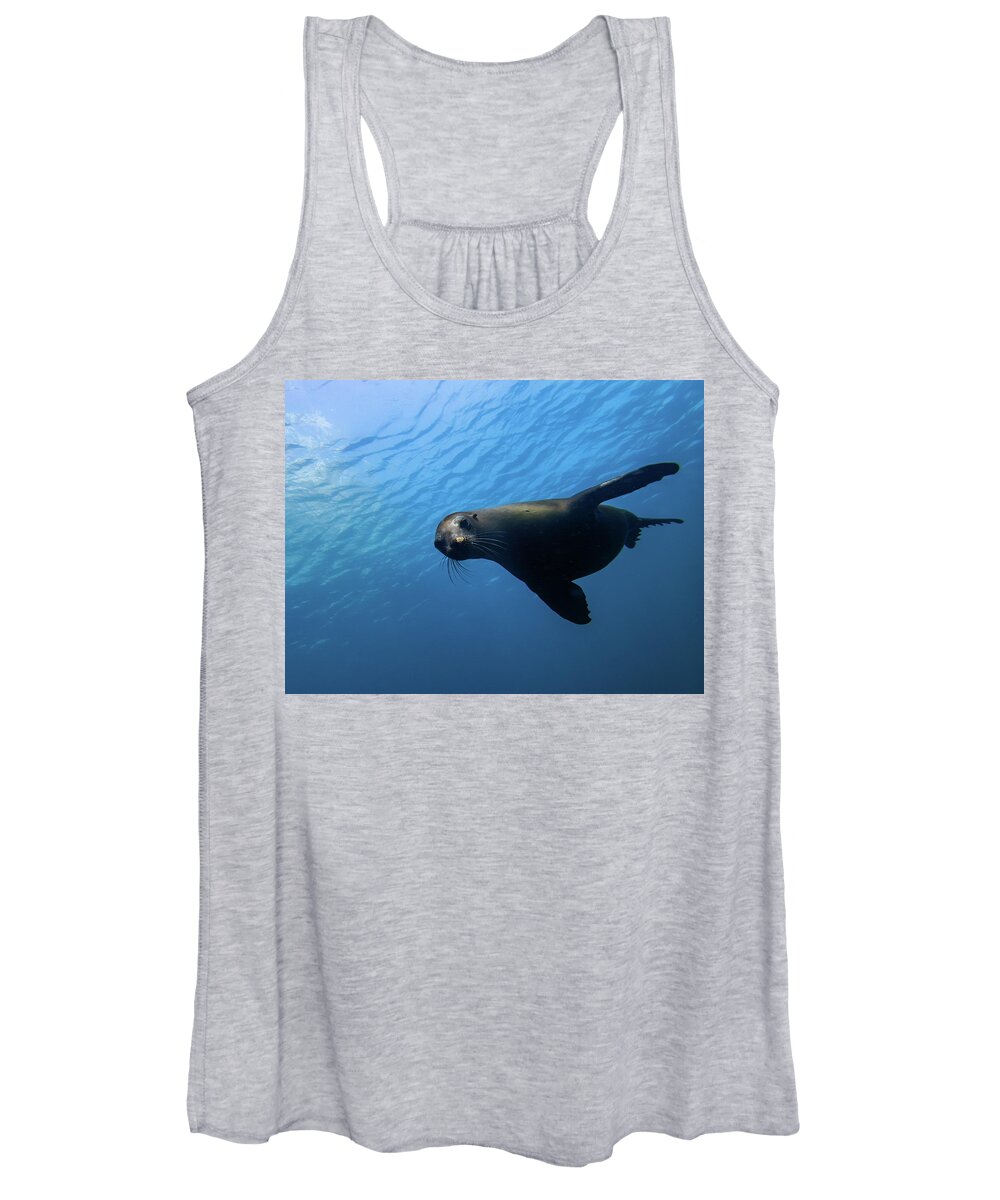 Seal Women's Tank Top featuring the photograph California Sea Lion by Brian Weber