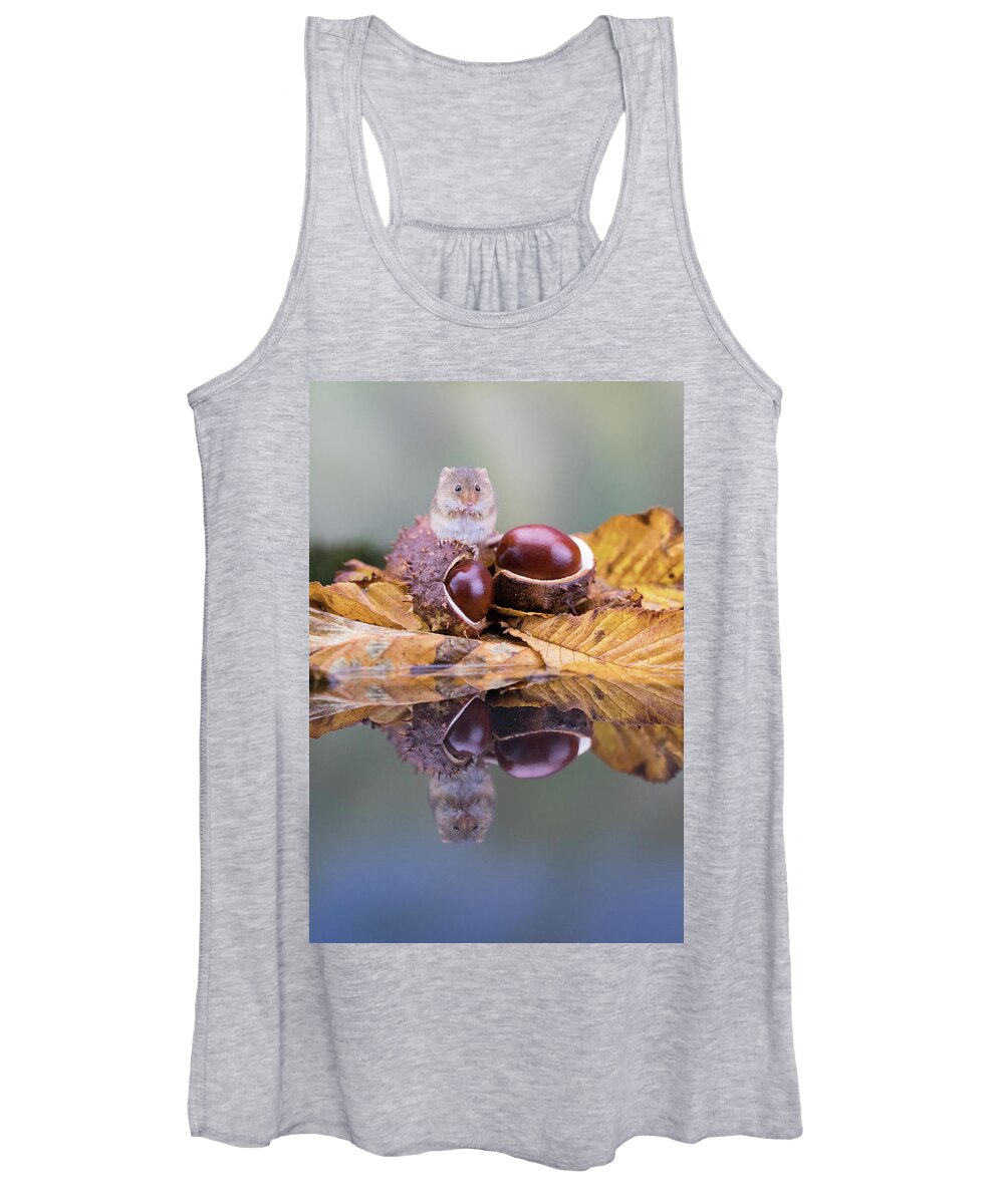 Tiny Women's Tank Top featuring the photograph Chestnut feast by Erika Valkovicova