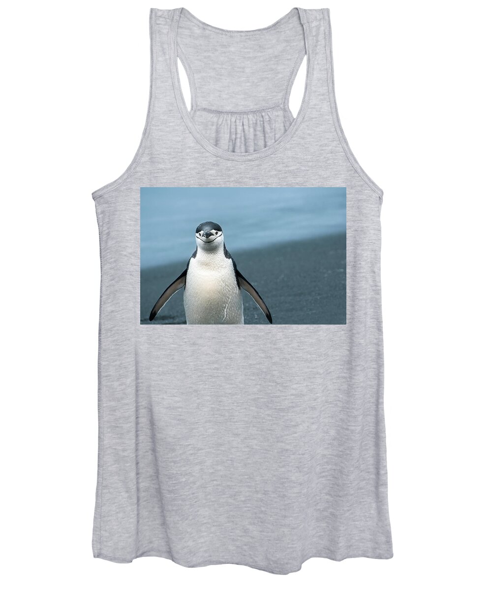 Penguin Women's Tank Top featuring the photograph Chinstrap Penguin Greeting by Linda Villers