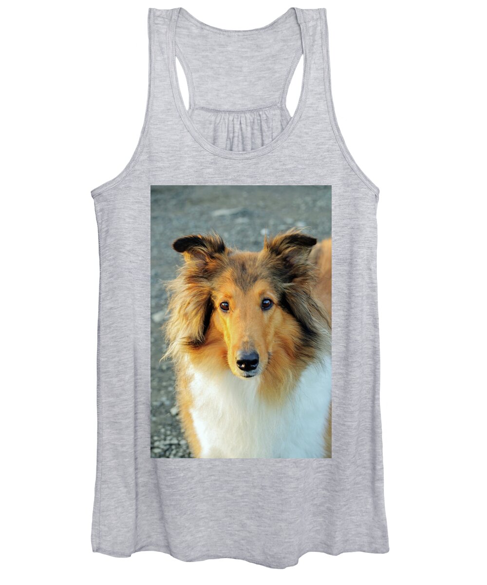 Dog Women's Tank Top featuring the photograph Collie by Tikvah's Hope