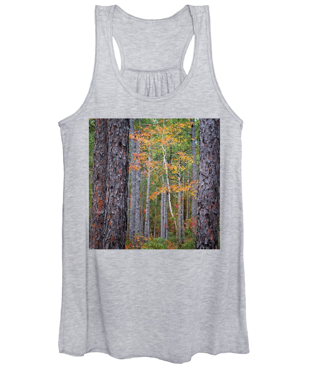 Fall Women's Tank Top featuring the photograph Colorful Birch Tree Among the Pines of the Croatan Forest by Bob Decker