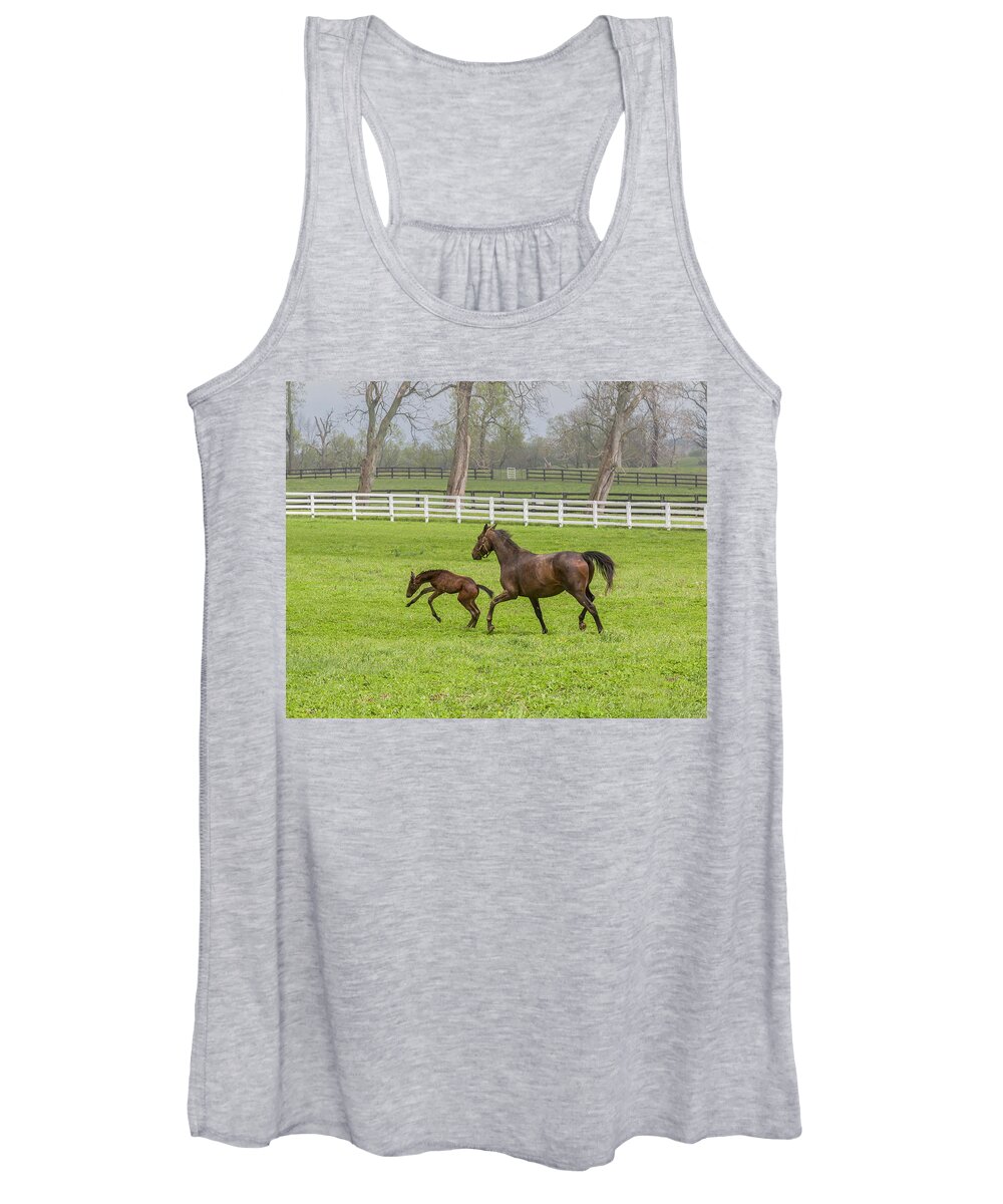 Animal Women's Tank Top featuring the photograph Colt by Jack R Perry