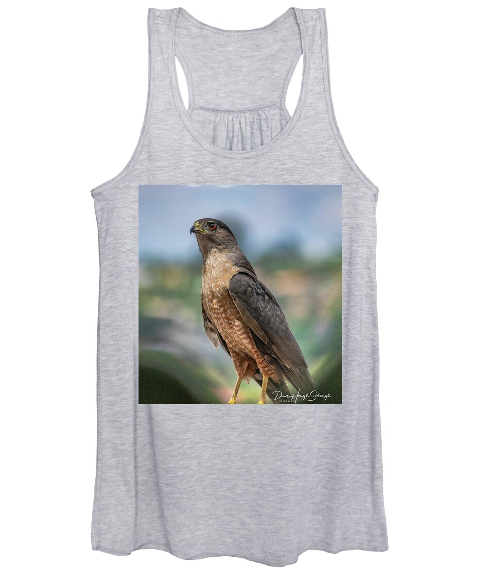 Coopers Hawk Women's Tank Top featuring the photograph Coopers Hawk by Dawn Hough Sebaugh