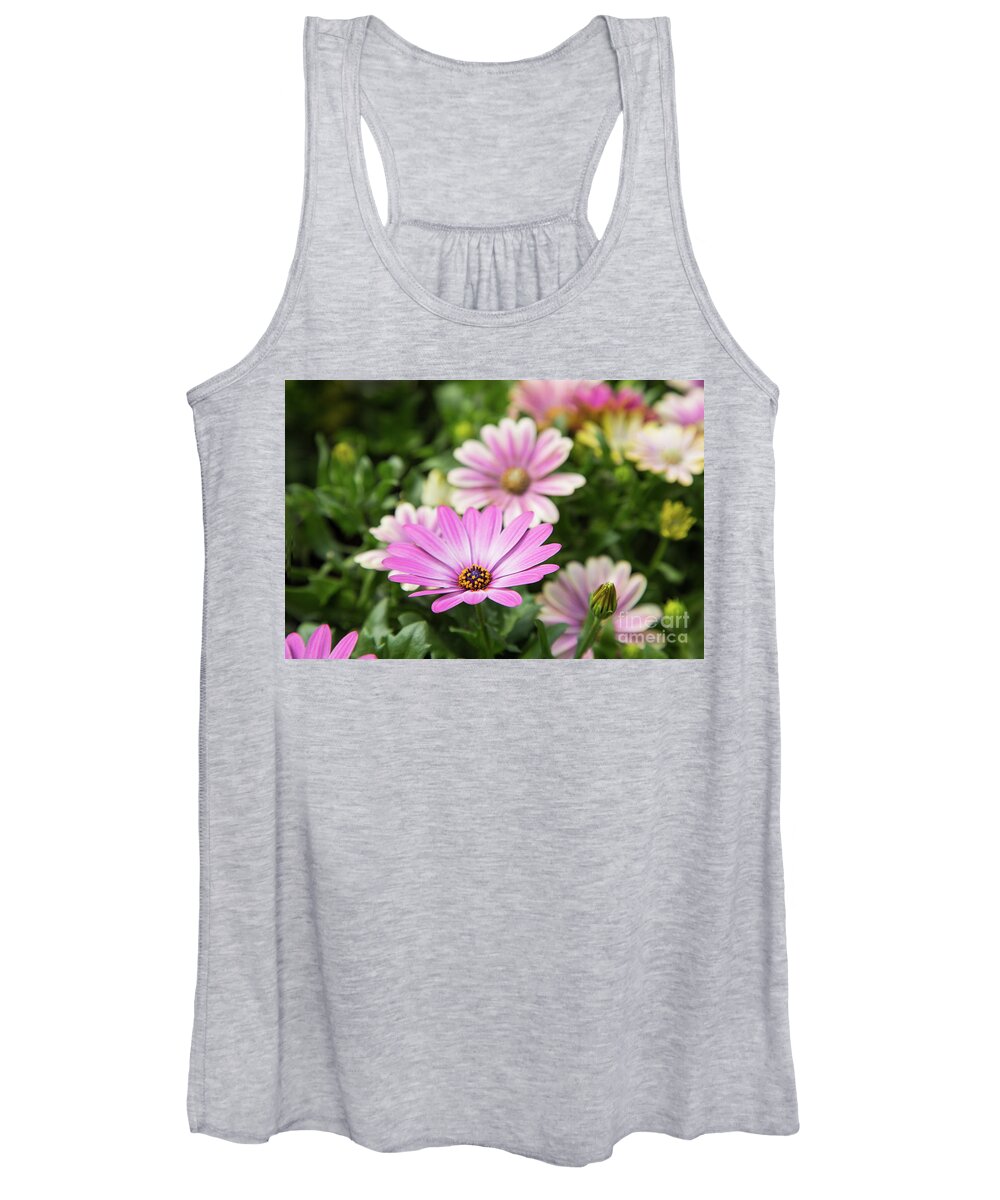 Flowers Women's Tank Top featuring the photograph Daisy in Pink by Marilyn Cornwell