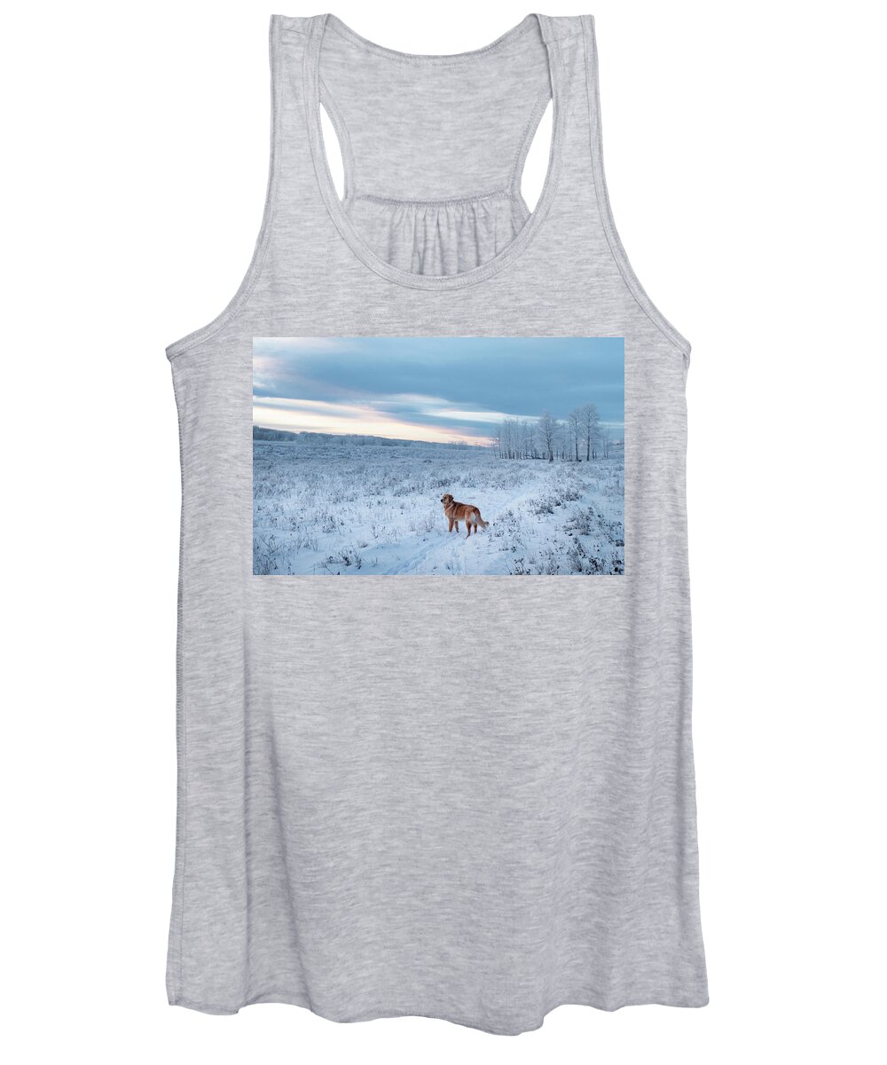 Dog Women's Tank Top featuring the photograph Dog in an Alberta winter pasture by Phil And Karen Rispin