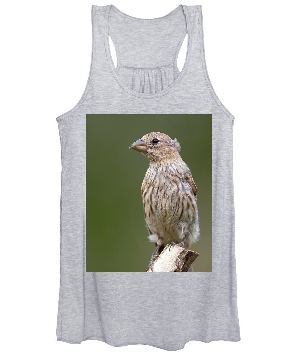 House Women's Tank Top featuring the photograph Female House Finch watching by Gary Langley