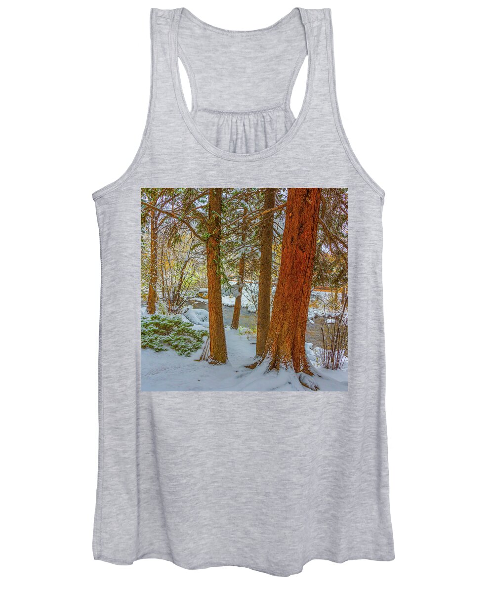 Calm Women's Tank Top featuring the photograph Pine Trees in Snow by Tom Potter