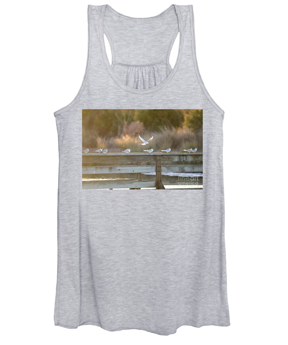 Common Tern Women's Tank Top featuring the photograph Flock of Common Tern Sitting along the bird rest by Amazing Action Photo Video