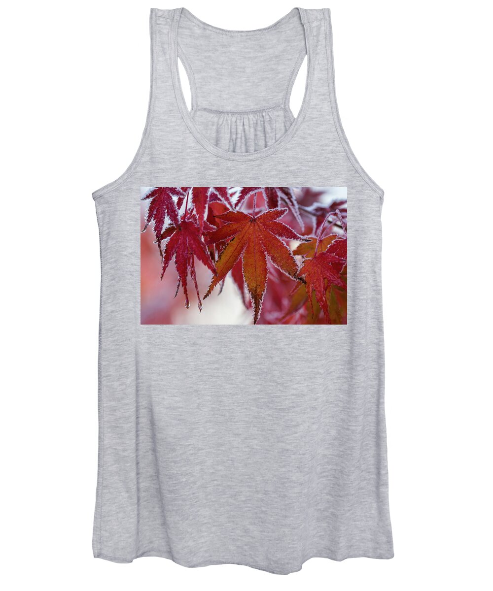 Astoria Women's Tank Top featuring the photograph Frost on Japanese Maple Leaves by Robert Potts
