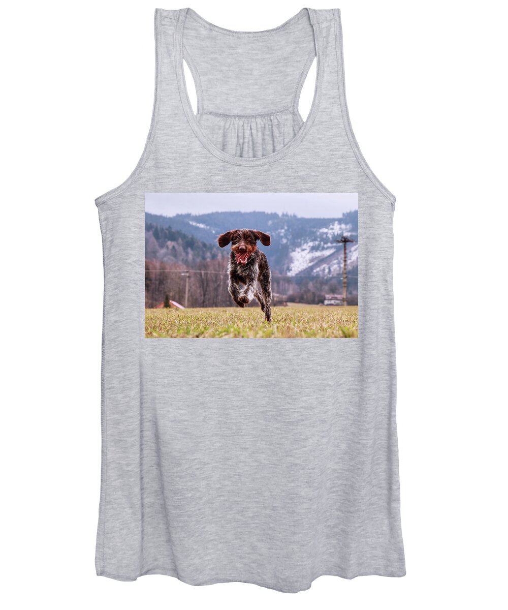 Bohemian Wire Women's Tank Top featuring the photograph Fun face. Hound- Bohemian Wire Haired Pointing Griffon by Vaclav Sonnek