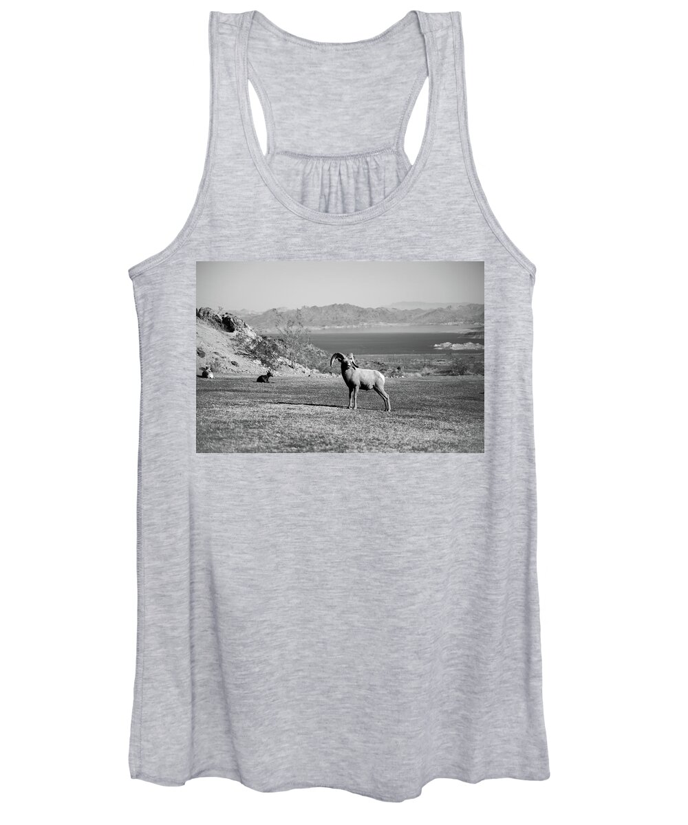 Goat Women's Tank Top featuring the photograph Goat by Rocco Silvestri