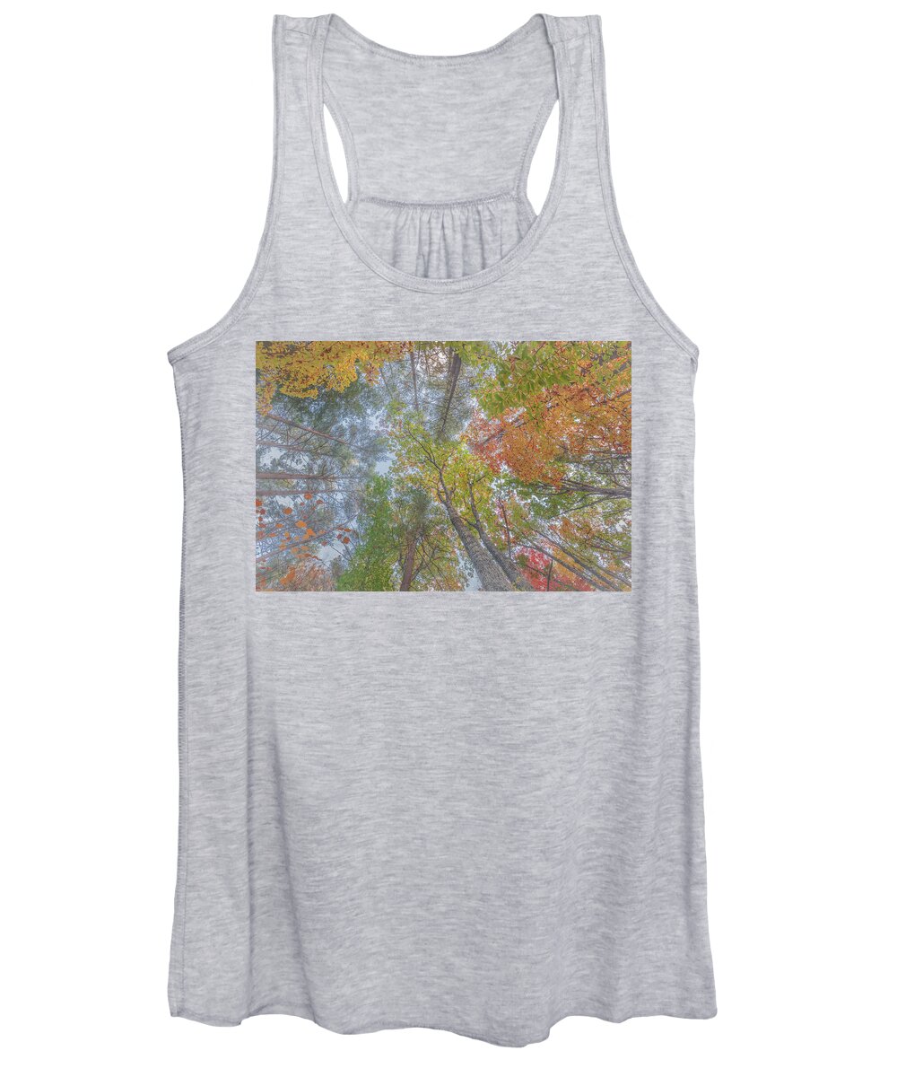 Landscapes Women's Tank Top featuring the photograph Golden Canopy by Arti Panchal