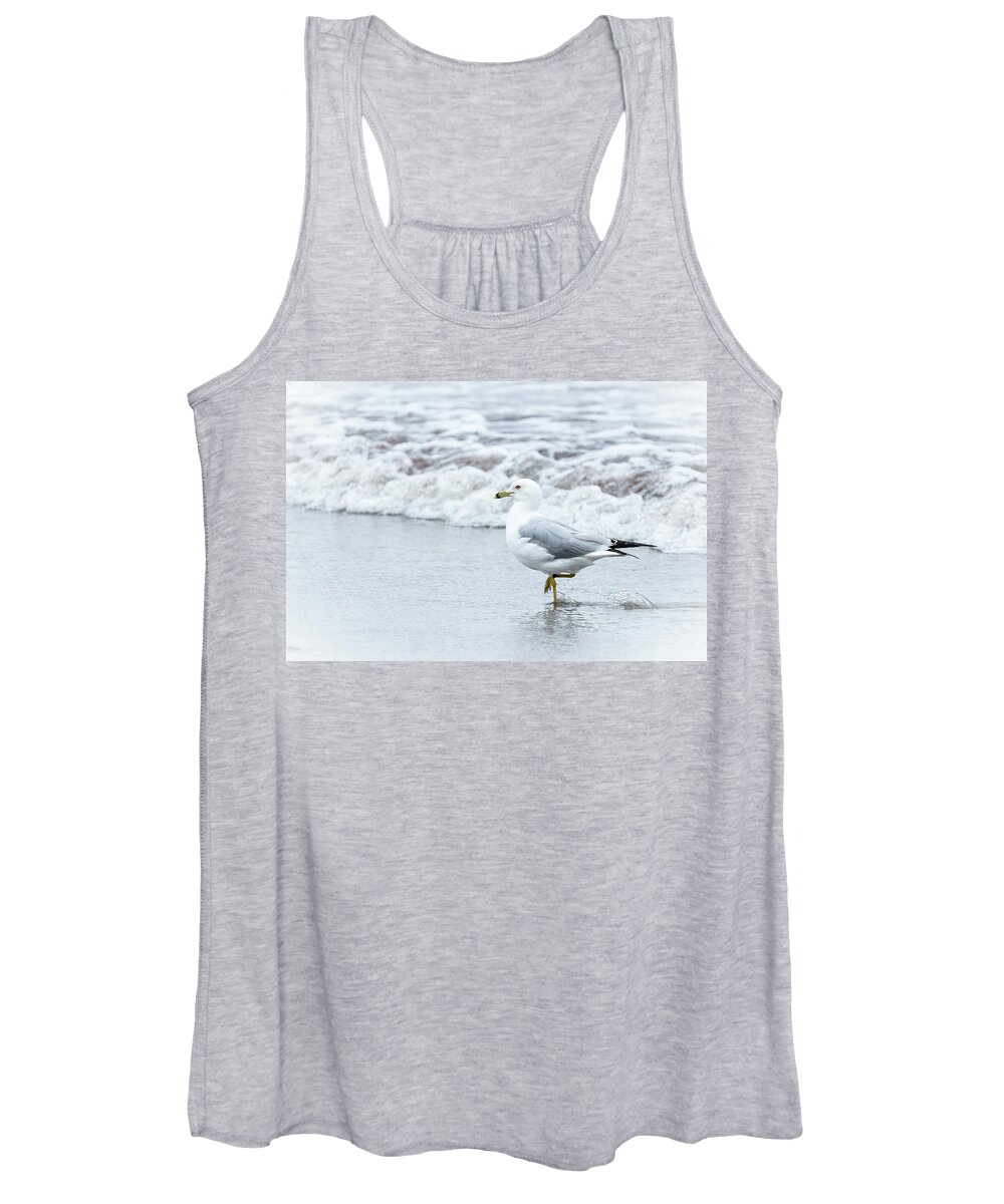 Gull Women's Tank Top featuring the photograph Gray Gull on Gray Beach #2 by Catherine Grassello
