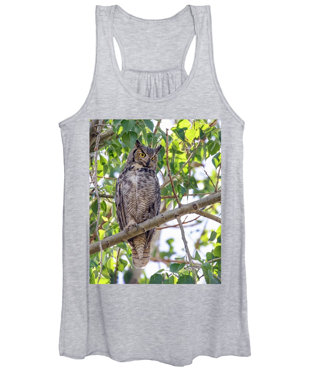 Owl Women's Tank Top featuring the photograph Great Horned Owl Hunting by Dawn Key