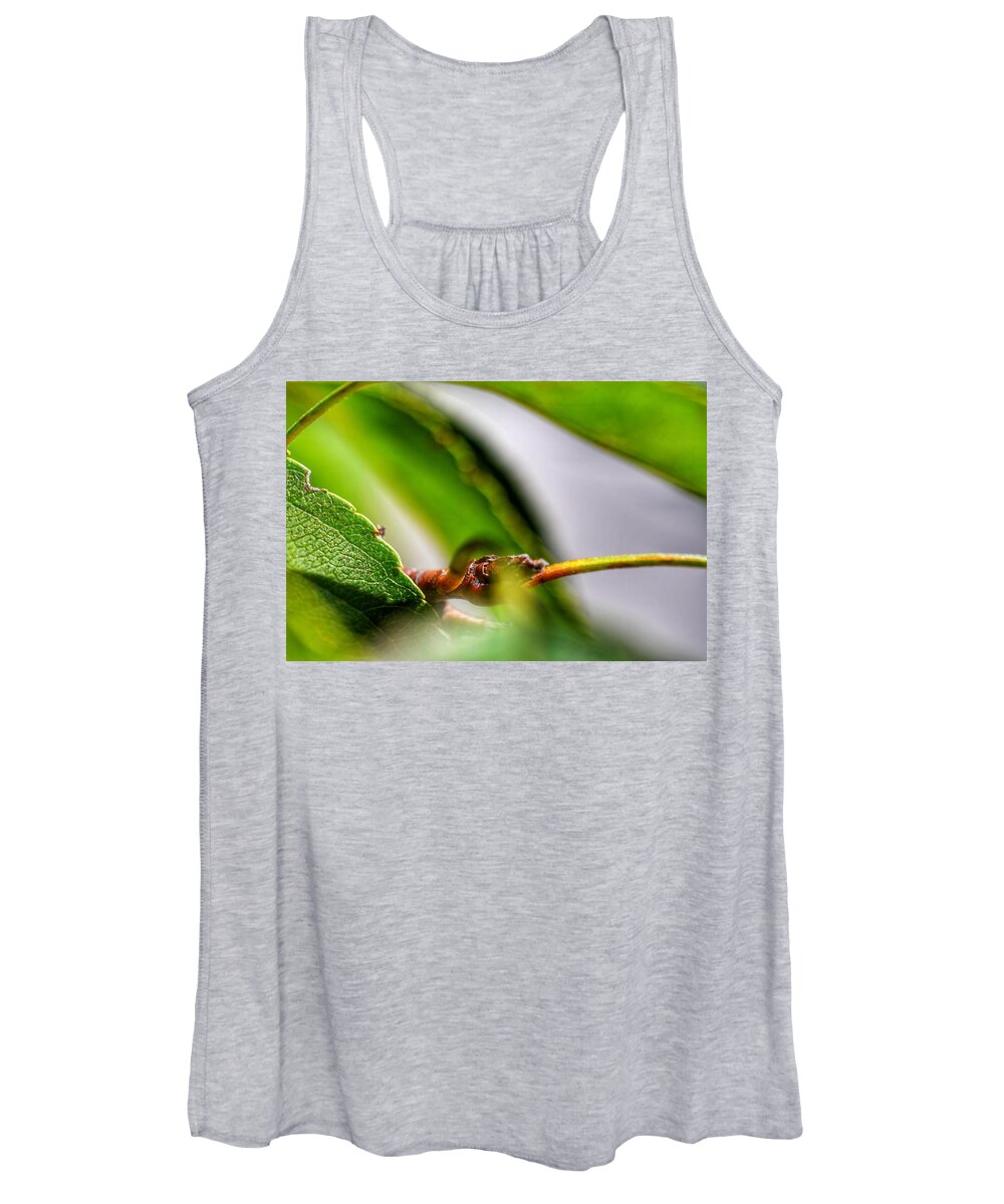 Photo Women's Tank Top featuring the photograph Green Leaf Closeup by Evan Foster
