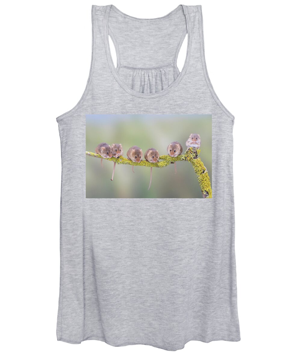 Cute Women's Tank Top featuring the photograph Harvest mouse gang by Erika Valkovicova
