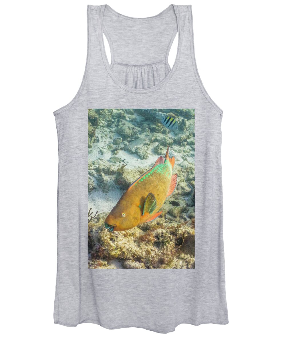 Animals Women's Tank Top featuring the photograph Hi by Lynne Browne