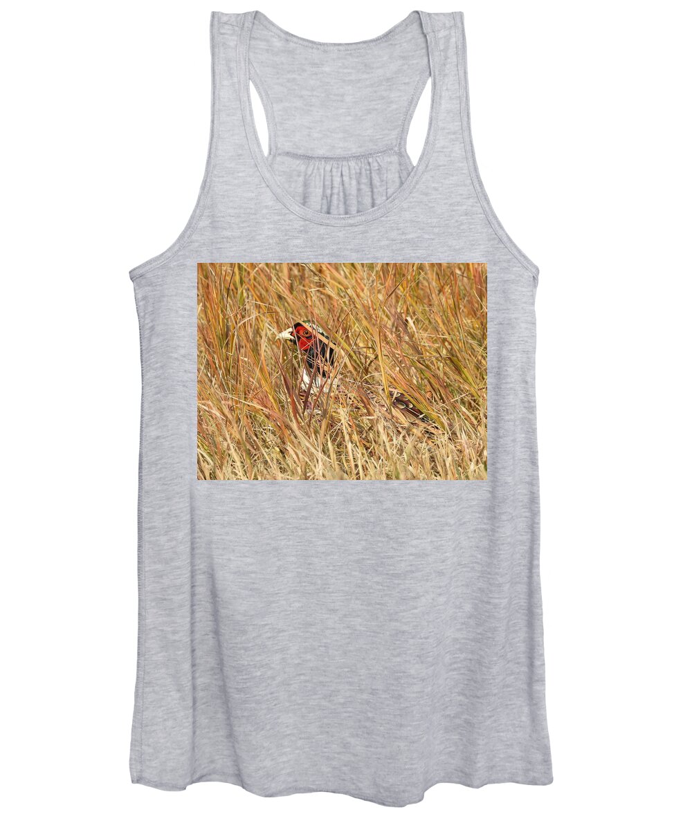 Ring Necked Pheasant Women's Tank Top featuring the photograph Hiding in the Grass by Amanda R Wright