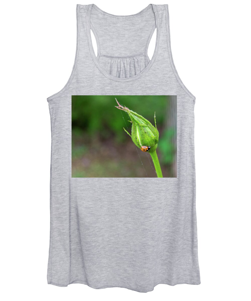 Art Women's Tank Top featuring the photograph Ladybug on a rose bud by Heather Bettis