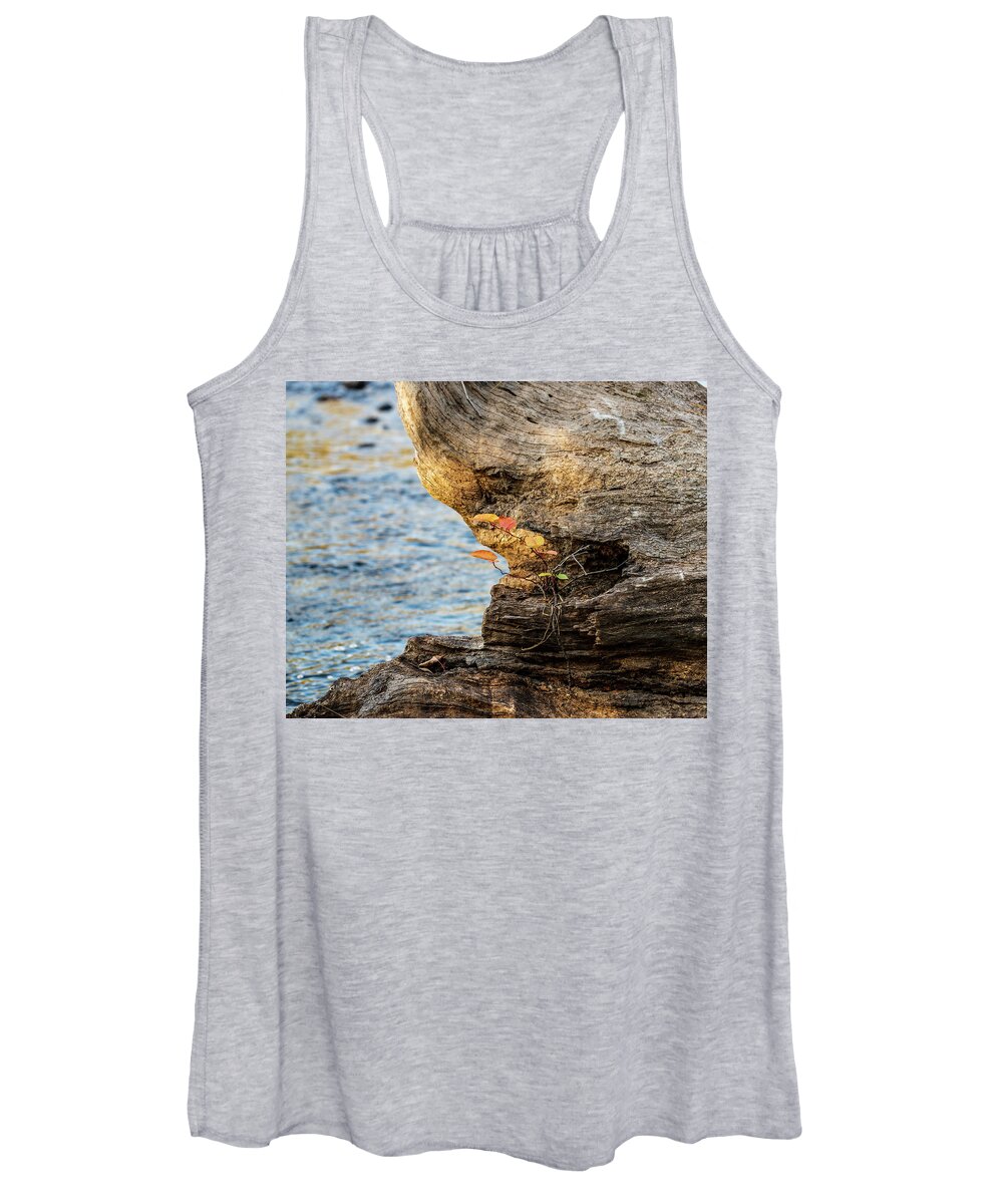 Nature Women's Tank Top featuring the photograph Life Finds A Way - Nature Photographer by Amelia Pearn