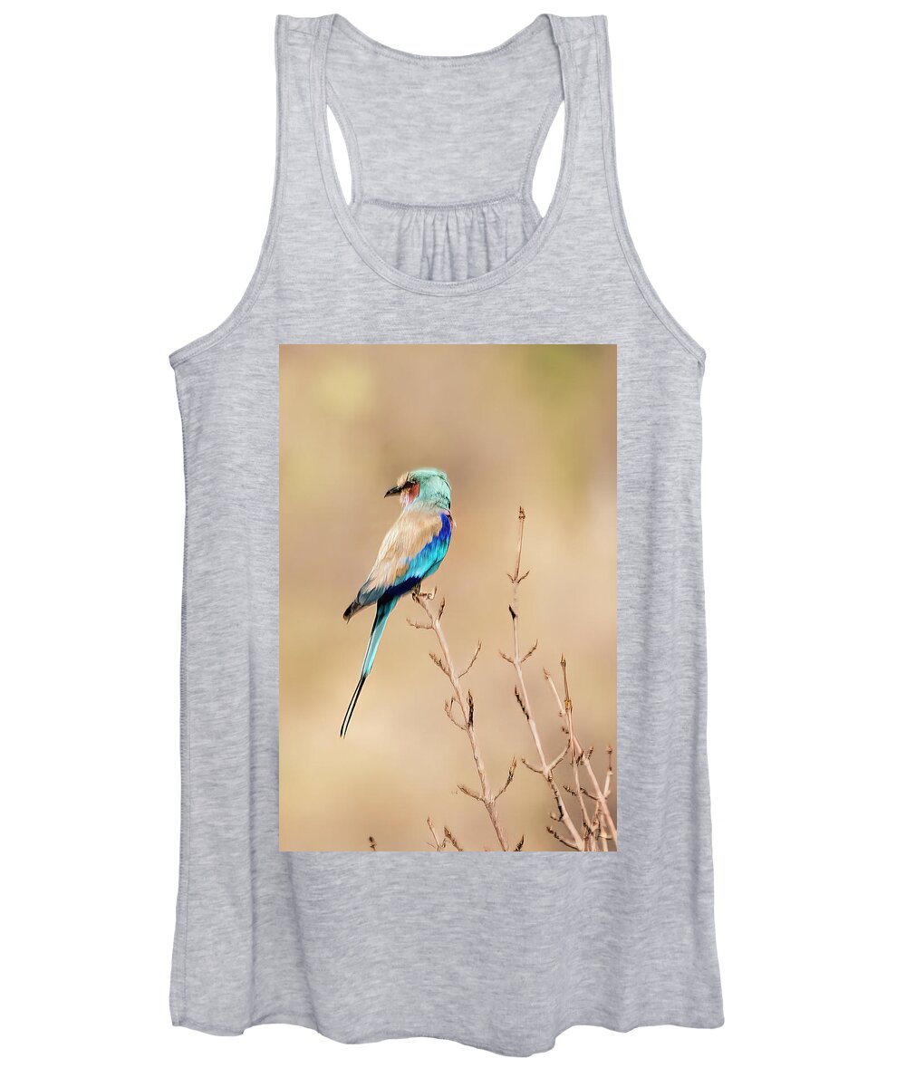 Africa Women's Tank Top featuring the photograph Lilac-breasted Roller in Botswana by Betty Eich