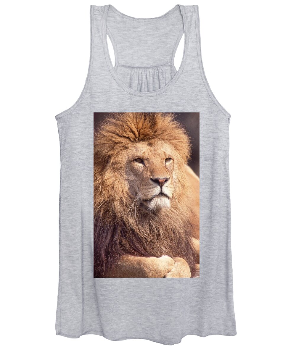Lion Women's Tank Top featuring the photograph Lion King 2 by Russel Considine