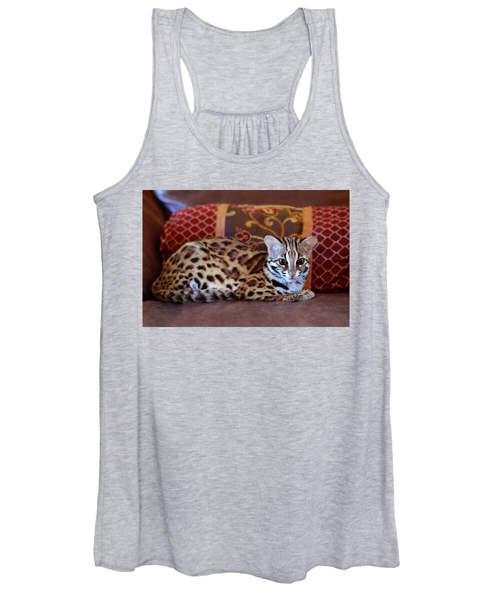 Animals Women's Tank Top featuring the photograph Lounging Leopard by Laura Fasulo
