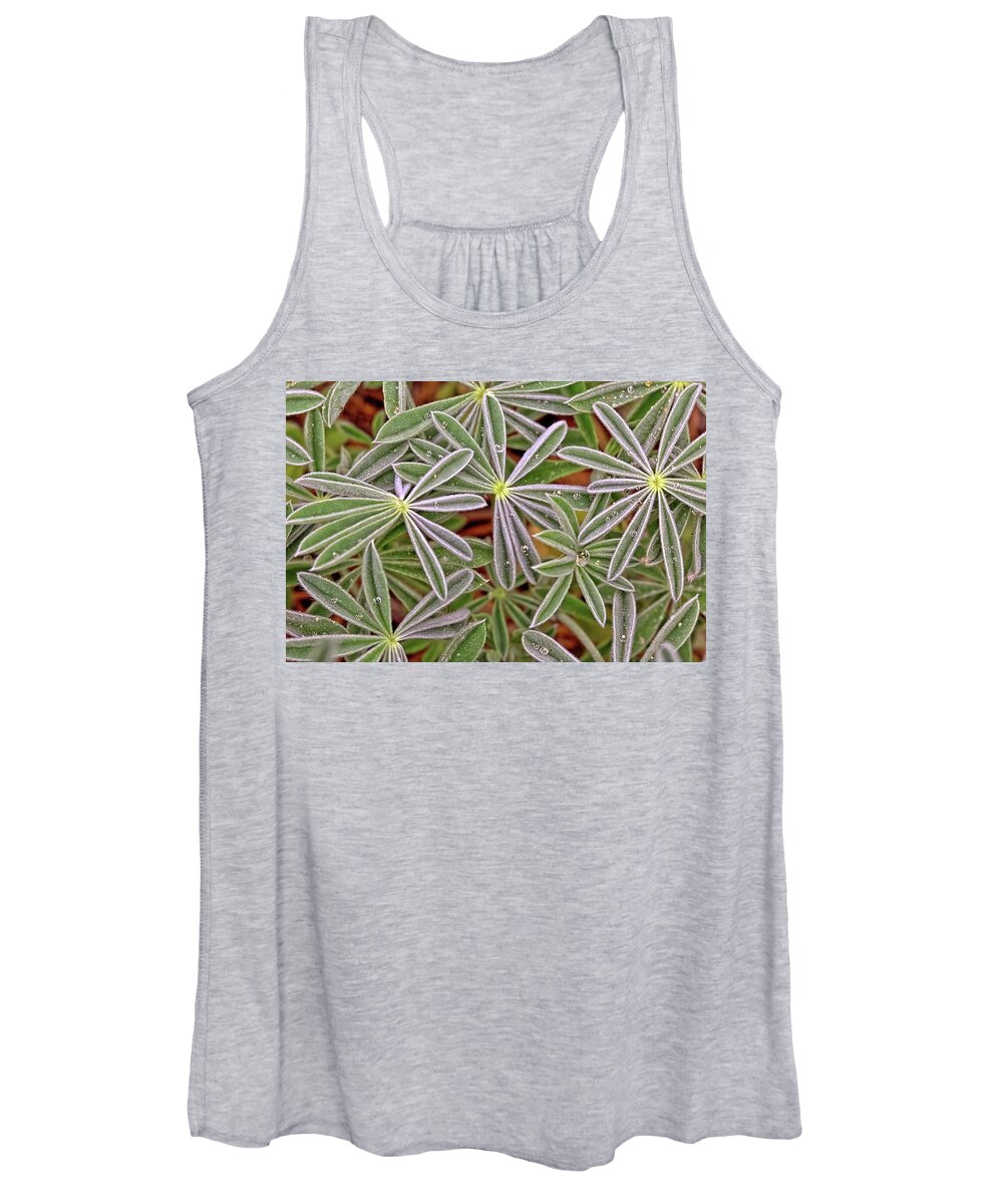 Lupine Women's Tank Top featuring the photograph Lupine Leaves by Bob Falcone