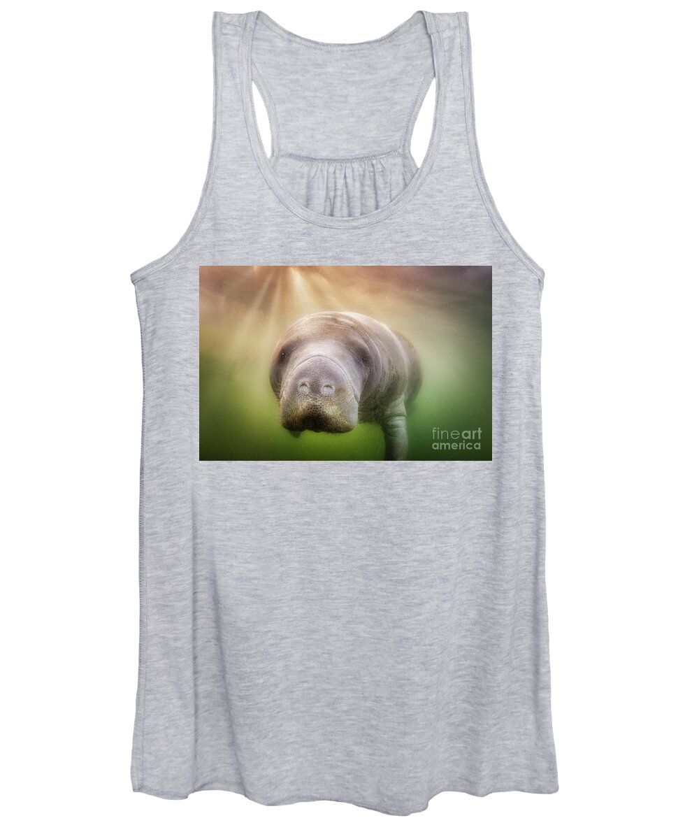 American Manatee Women's Tank Top featuring the photograph Rays Of Hope by John Hartung  ArtThatSmiles com