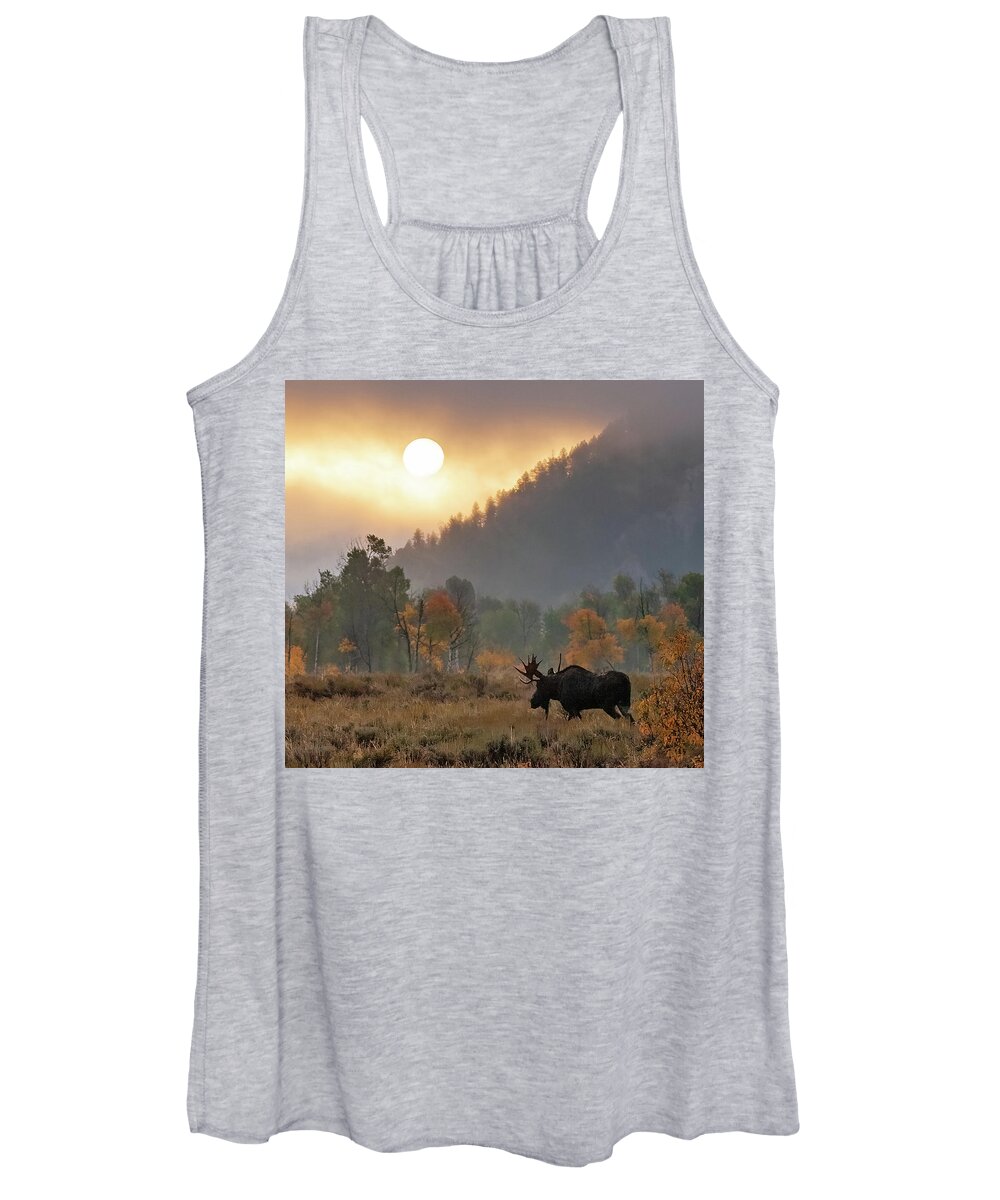 Moose Women's Tank Top featuring the photograph Morning Moose by Max Waugh
