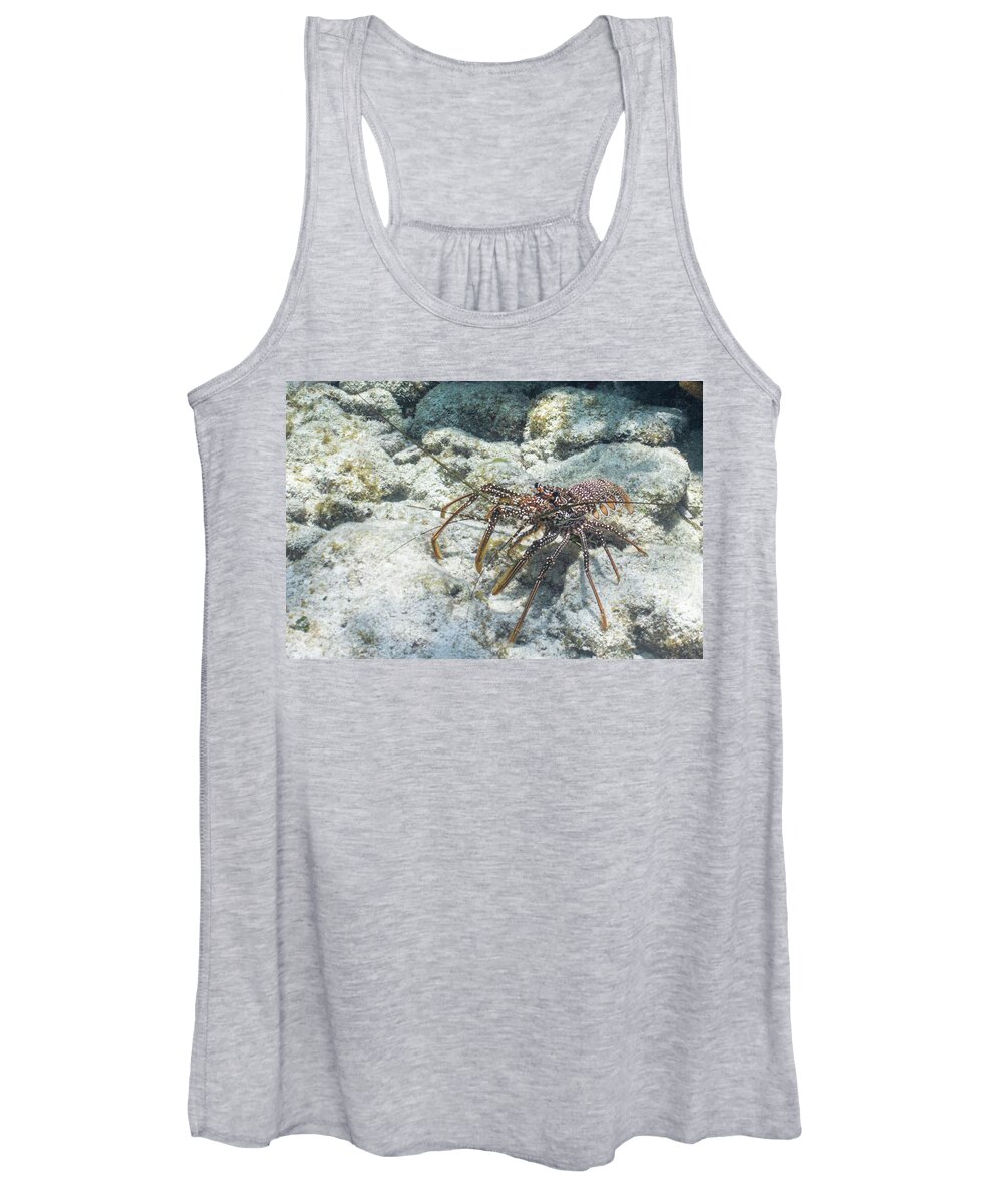 Animals Women's Tank Top featuring the photograph Not From Maine by Lynne Browne