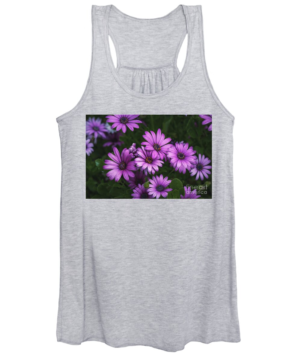  Purple Daisy Women's Tank Top featuring the photograph Purple Mum Flower Party by Abigail Diane Photography