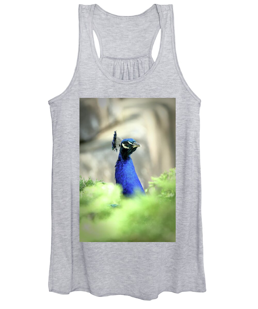 Bird Women's Tank Top featuring the photograph Peacock-A-Boo by Lens Art Photography By Larry Trager