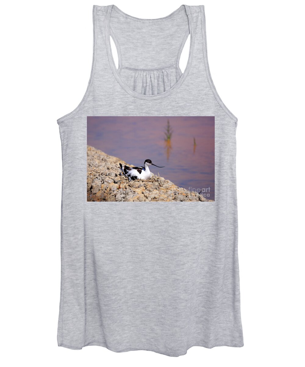 Avocet Women's Tank Top featuring the photograph Pied avocet . by Frederic Bourrigaud
