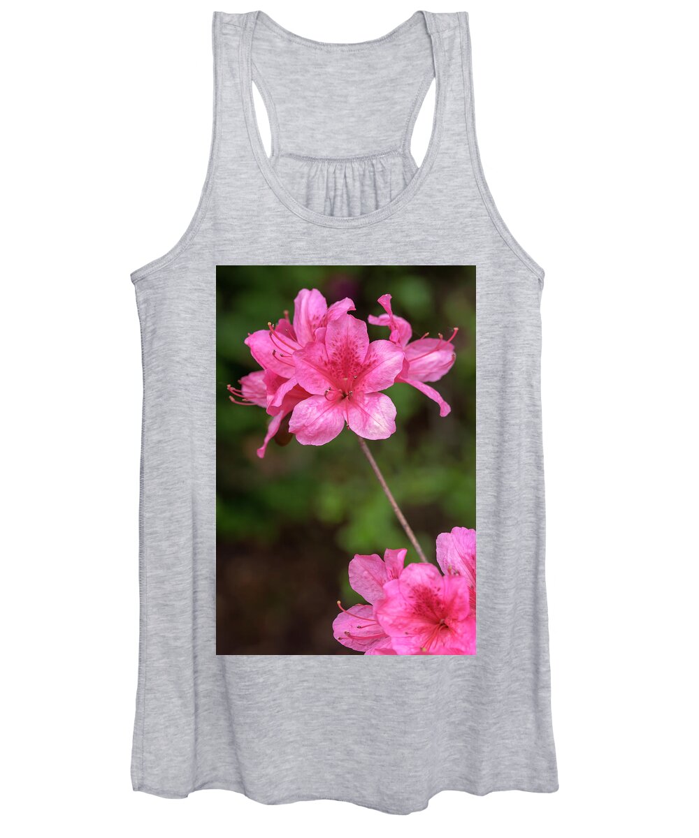 Flower Women's Tank Top featuring the photograph Pink Azaleas by Dawn Cavalieri