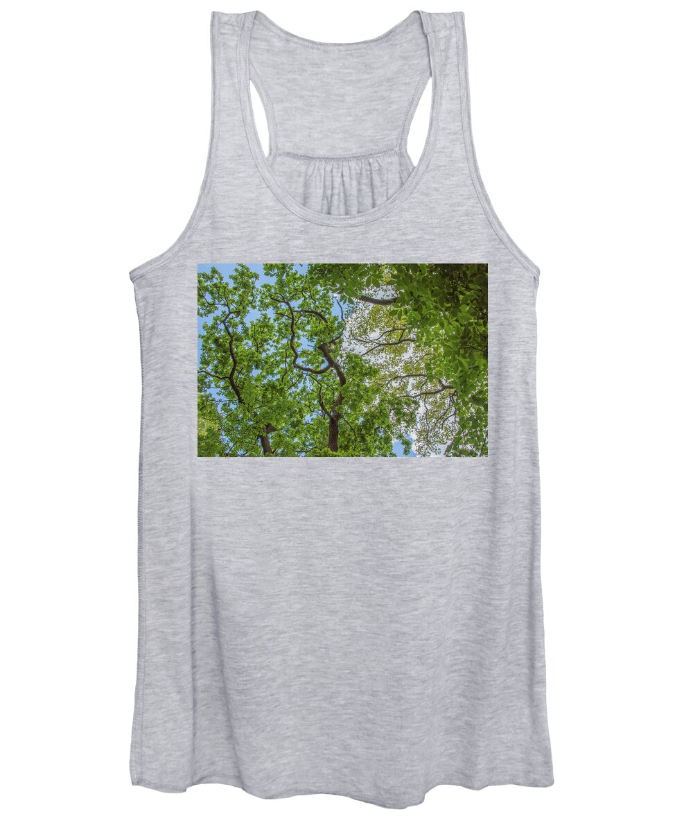 Queen's Wood Women's Tank Top featuring the photograph Queen's Wood Trees Spring 4 by Edmund Peston