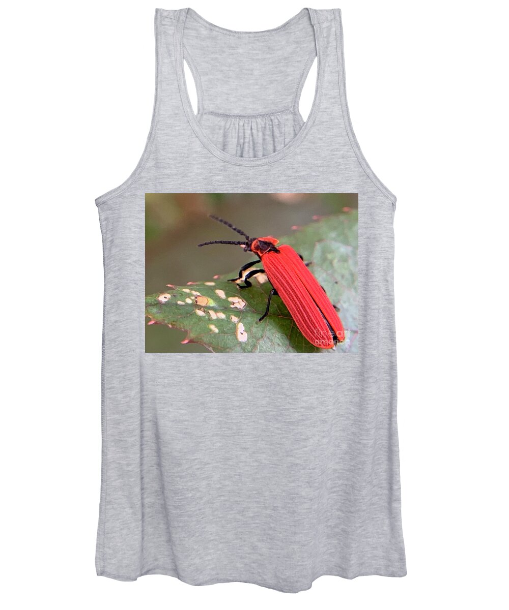 Insect Women's Tank Top featuring the photograph Red Net Winged Beetle by Catherine Wilson
