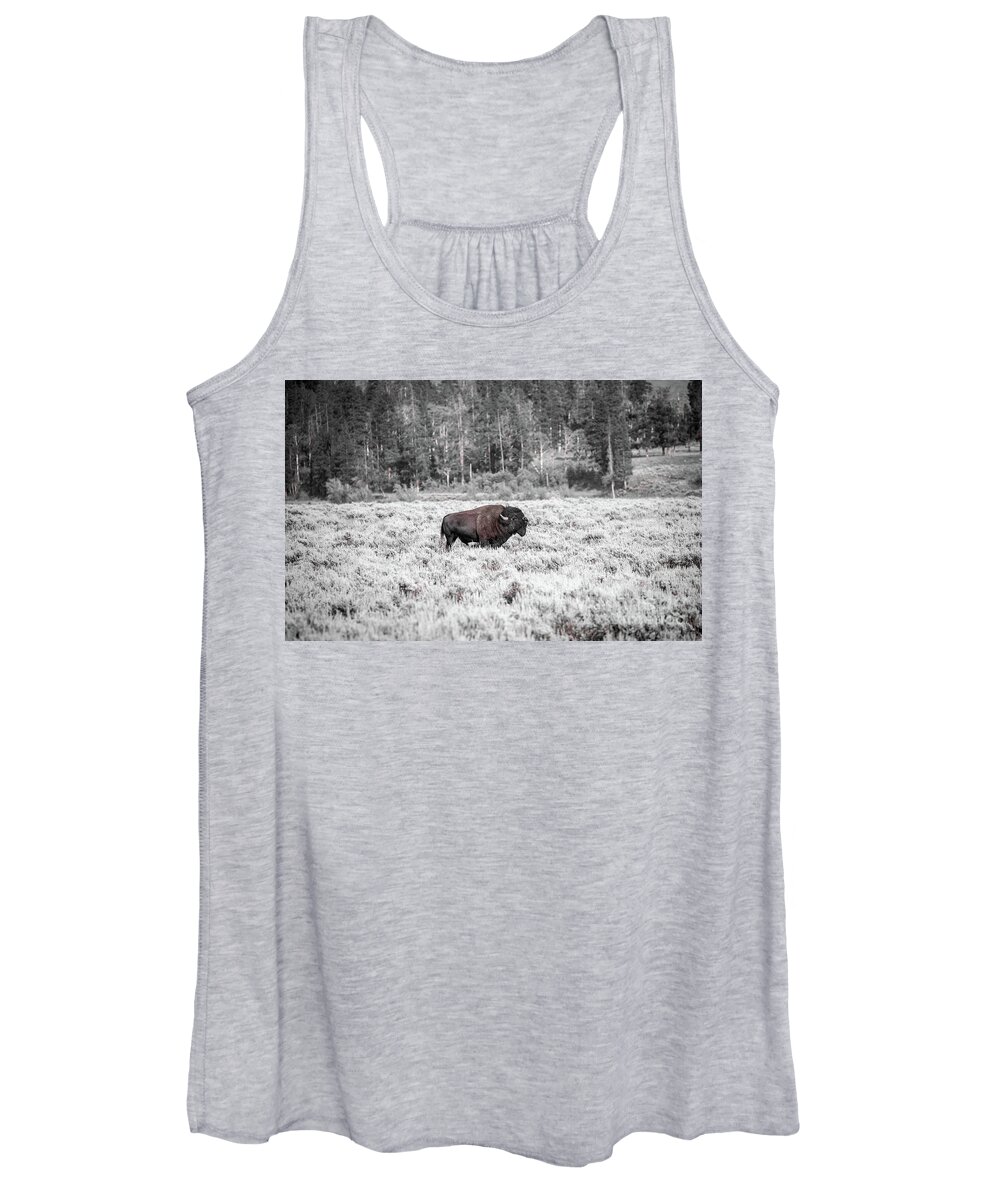 Wildlife Women's Tank Top featuring the photograph Roam Free by Dheeraj Mutha