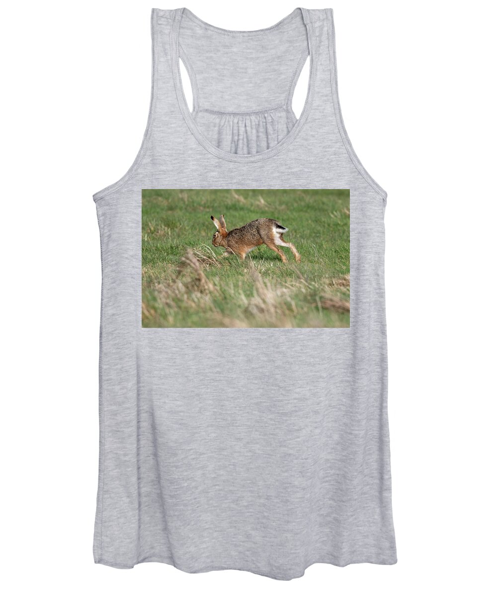 Brown Hare Women's Tank Top featuring the photograph Running By by Mark Hunter
