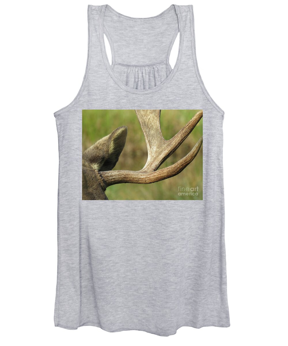 Nature Women's Tank Top featuring the photograph Sculpted Antlers by Mary Mikawoz