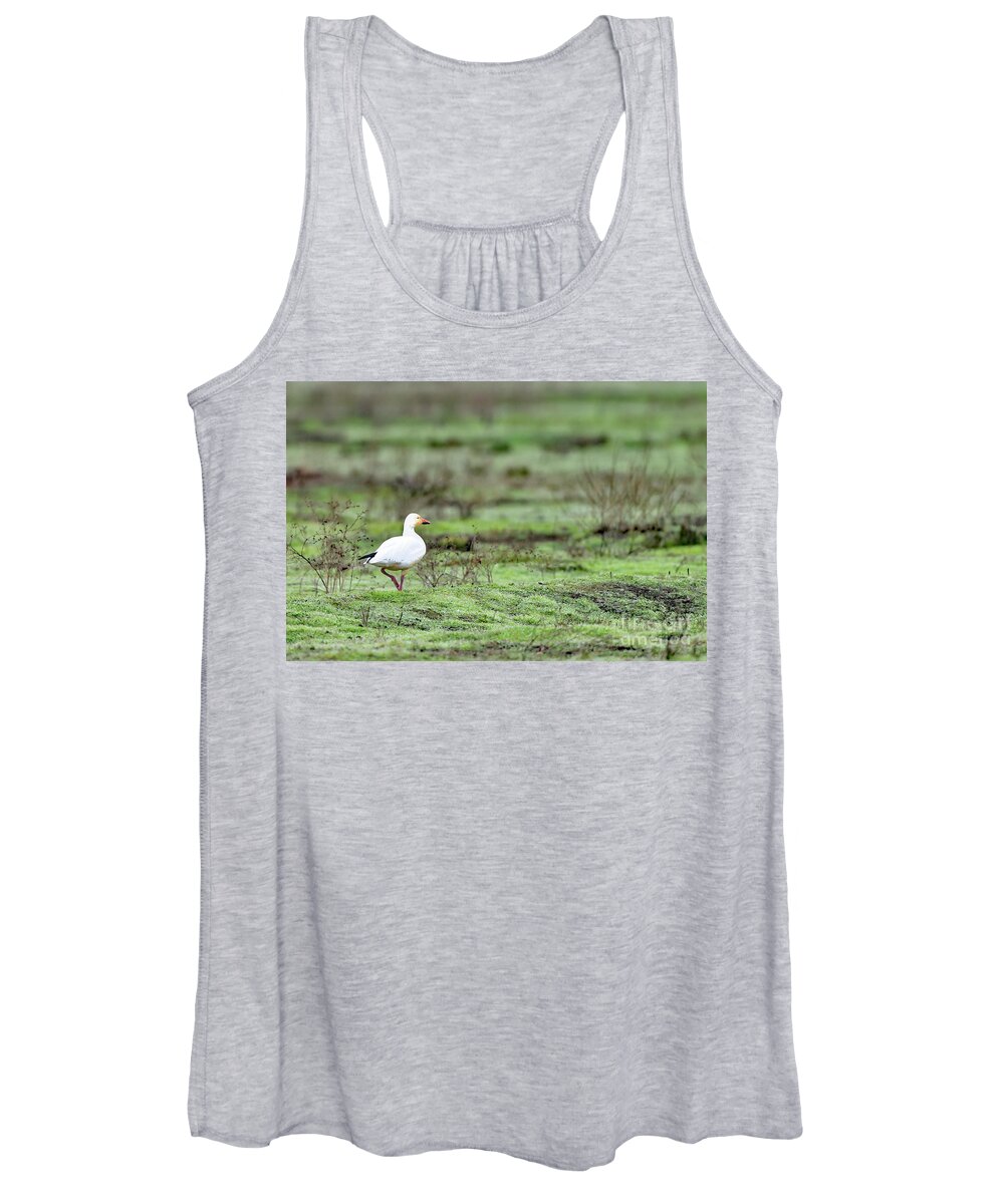 Snow Goose Women's Tank Top featuring the photograph Snow Goose by Amazing Action Photo Video