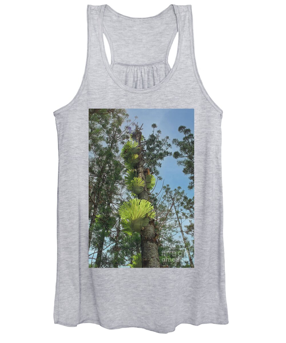 Staghorns Women's Tank Top featuring the photograph Staghorns by Frank Lee