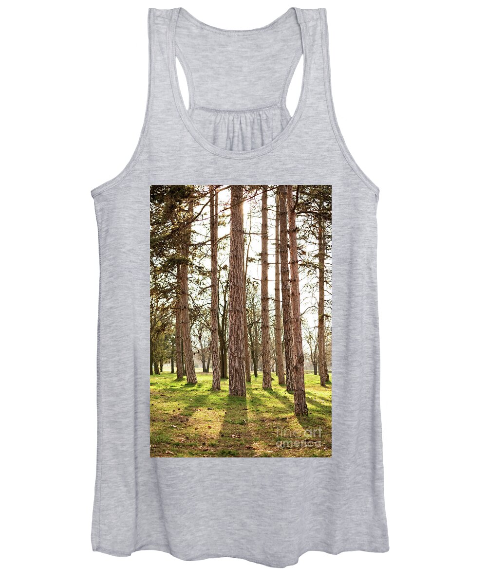 Forest Women's Tank Top featuring the photograph Sunny pine tree forest by Mendelex Photography