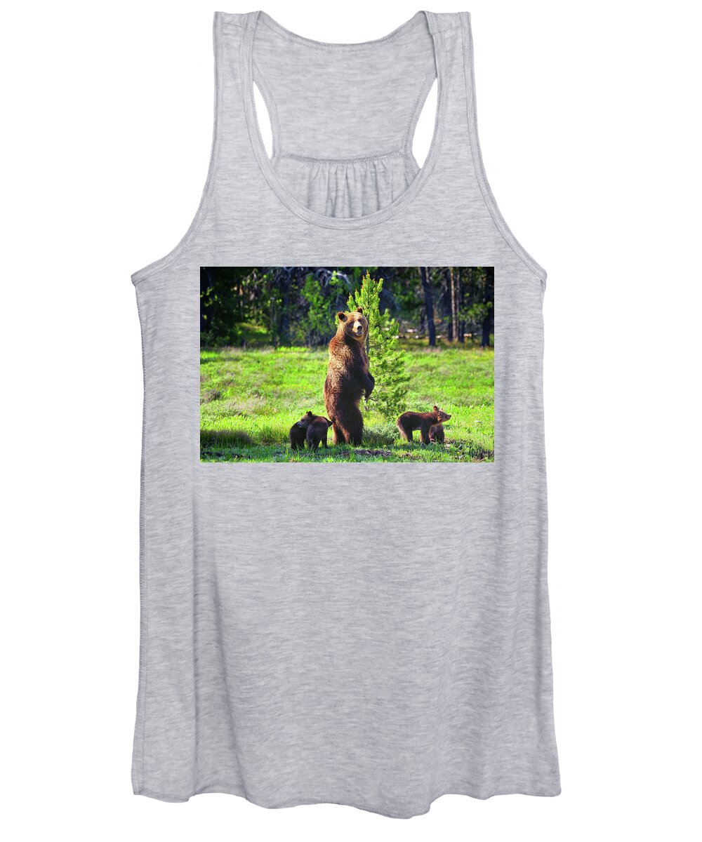 Grizzly 399 Women's Tank Top featuring the photograph Survey the Surroundings by Greg Norrell