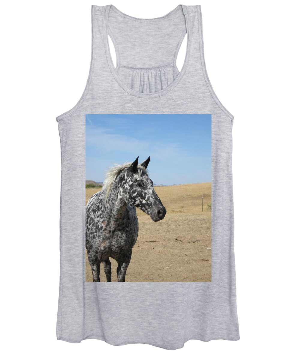 Appaloosa Women's Tank Top featuring the photograph The Diva by Katie Keenan